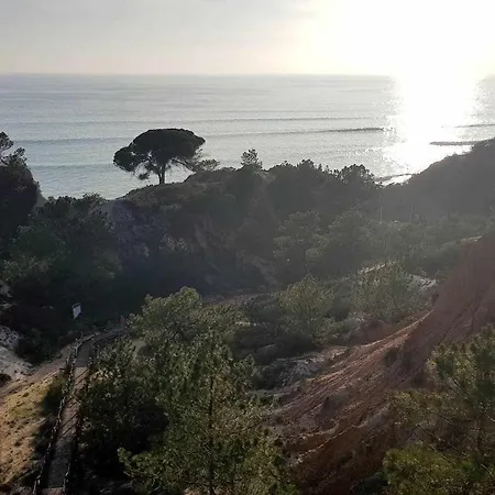 Albufeira, Cerro Branco